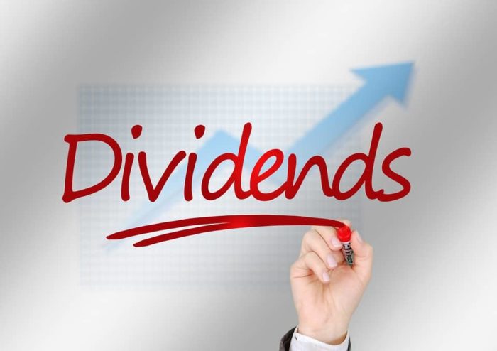 Peter Thornhill Dividend Investing