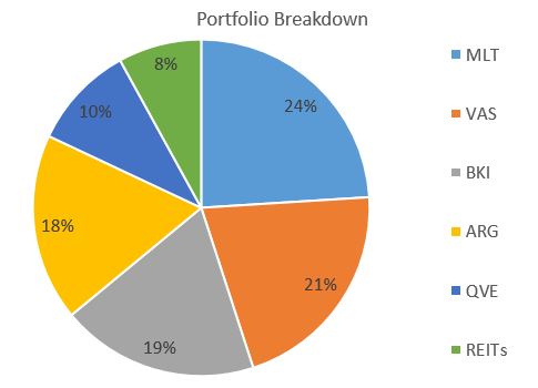 Share Portfolio Breakdown